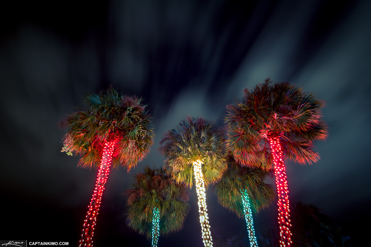 Christmas Tree Lights South Florida Style at Snug Harbor Drive