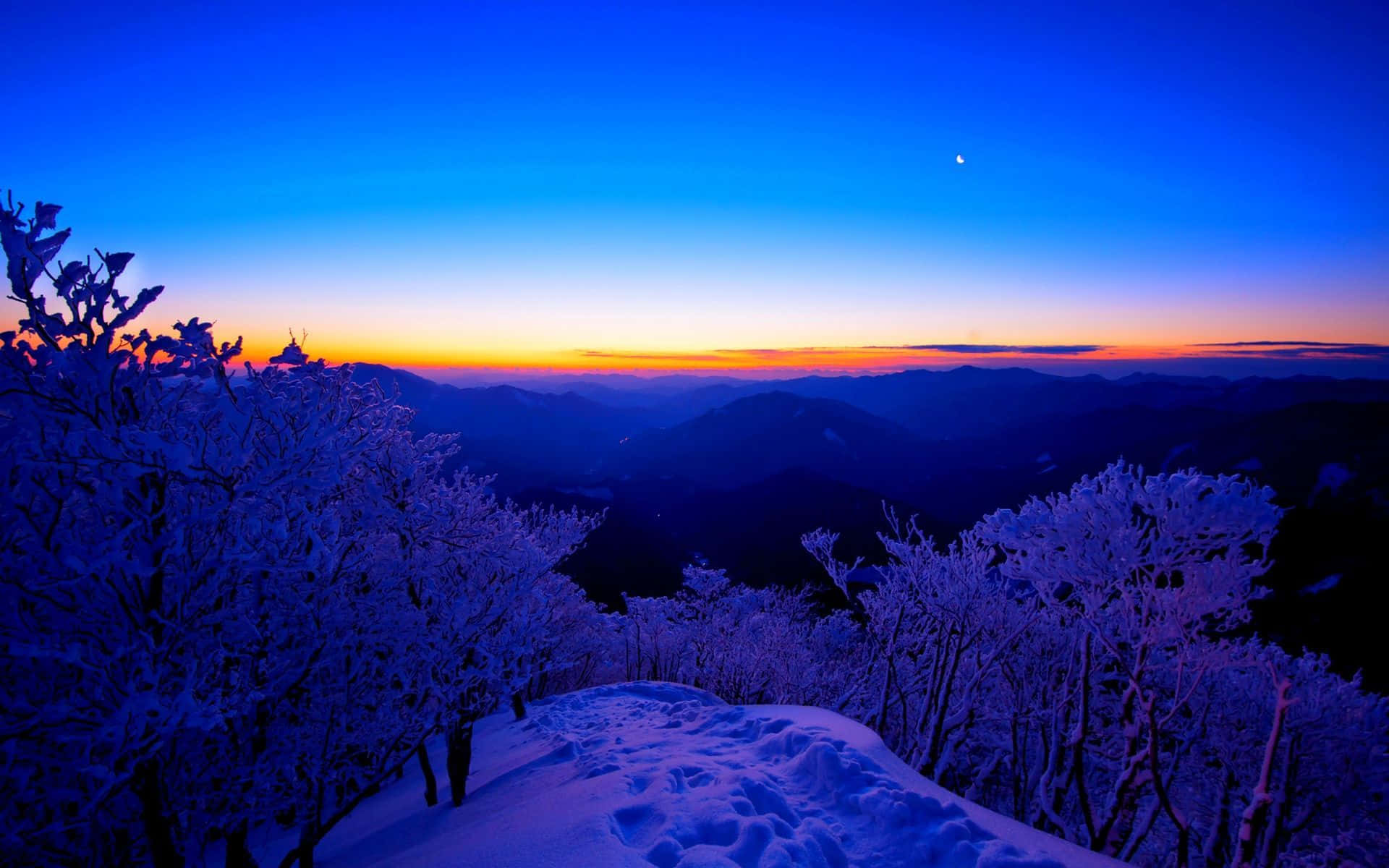 Winter Solstice Wallpaper