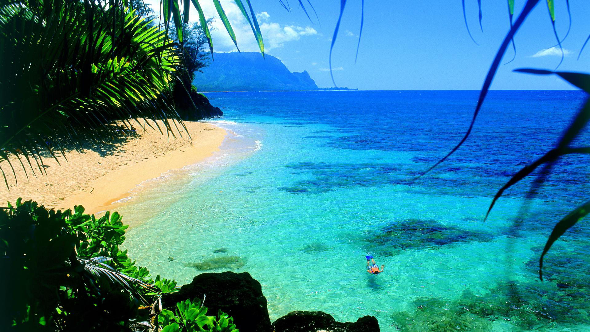 Hawaii Snorkel Travel High Definition Widescre Wallpaper