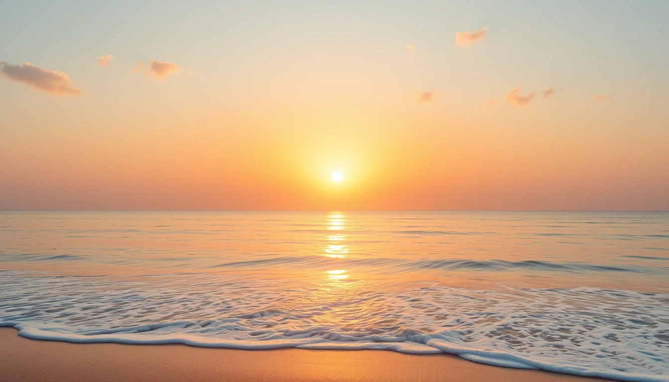 Sun Wallpaper