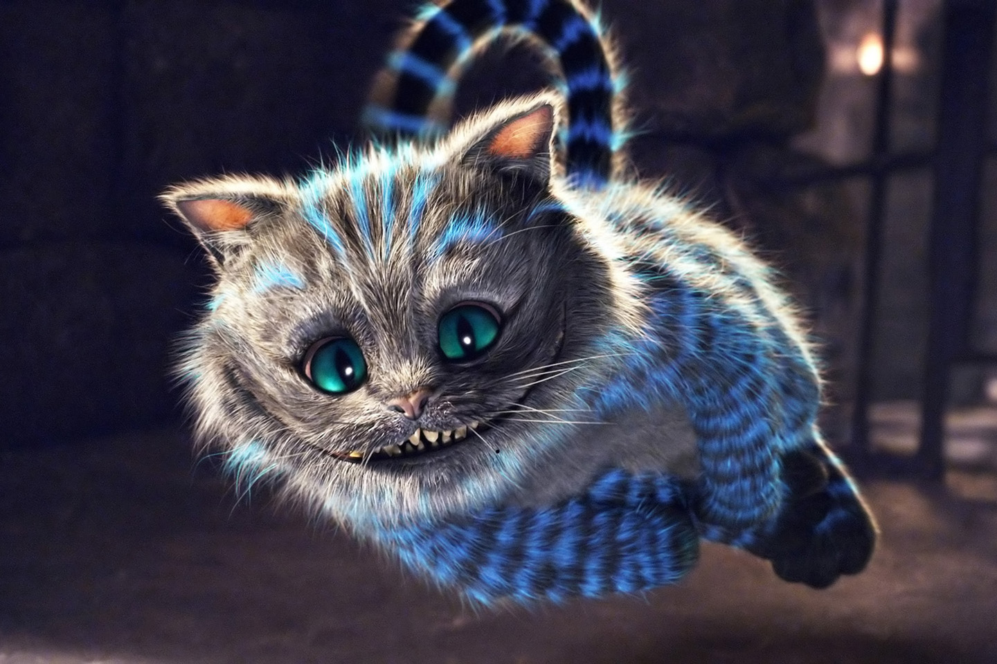 Cats Cheshire Cat HD N Background Wallpaper Full