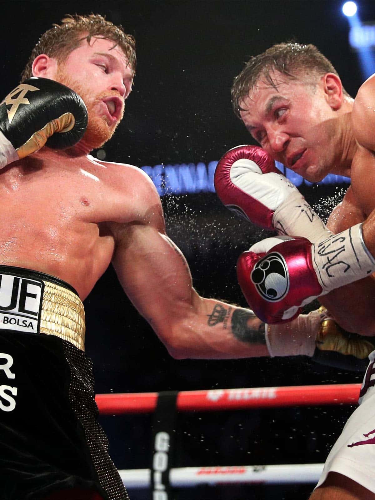Download Image Boxer Canelo Alvarez wincing after taking a punch