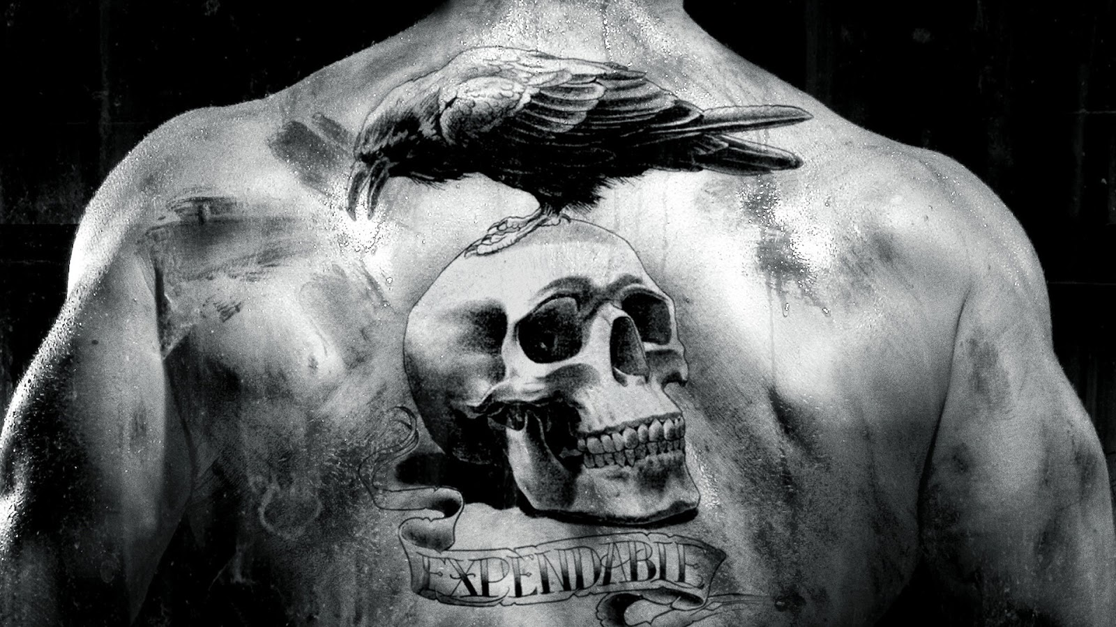 Skull Tattoo Designs In HD Wallpaper
