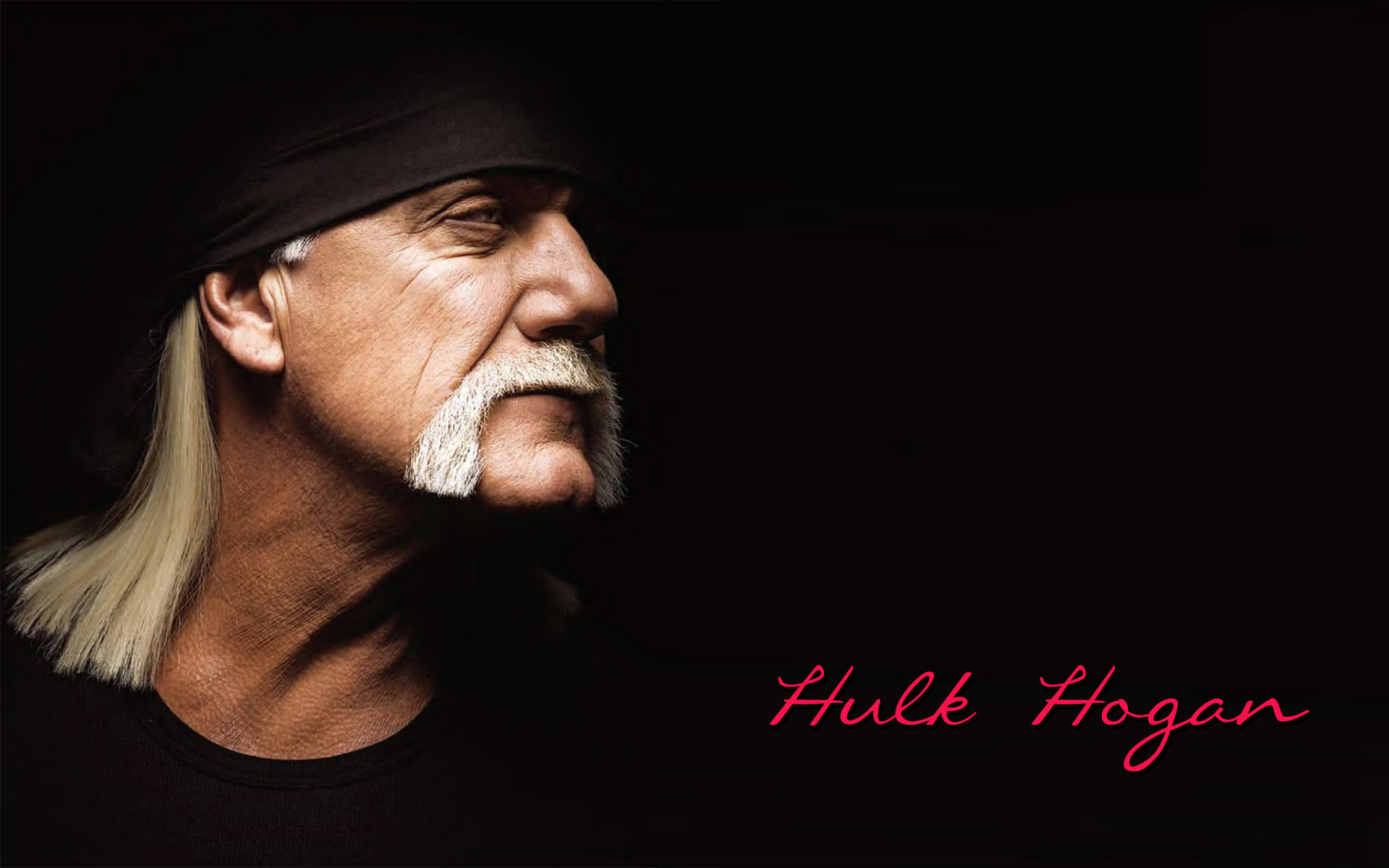 Wwe Legend Hulk Hogan Wallpaper