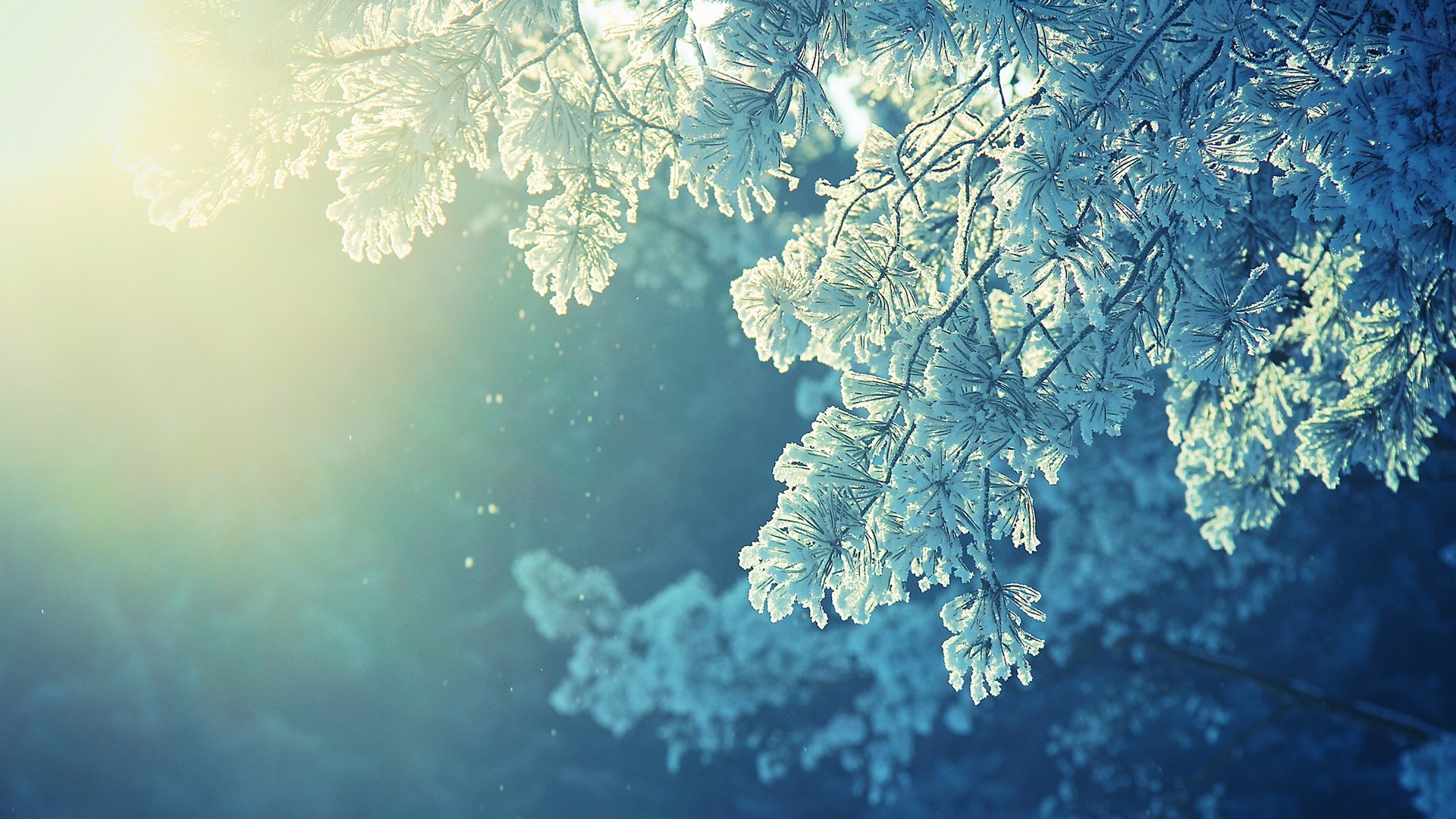 anime Nature Snow Winter Cold Sunlight Peaceful Wallpapers HD