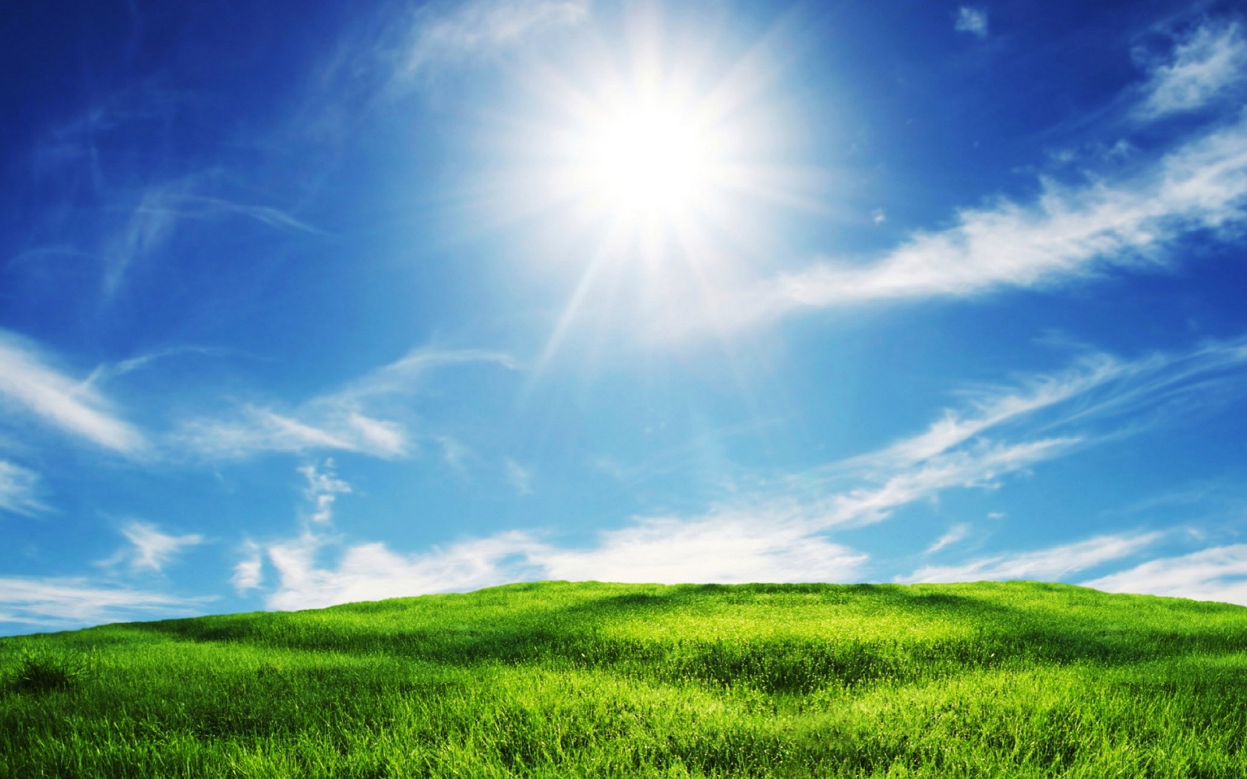 Click At Link To Wallpaper Green Grass And Blue Sky For