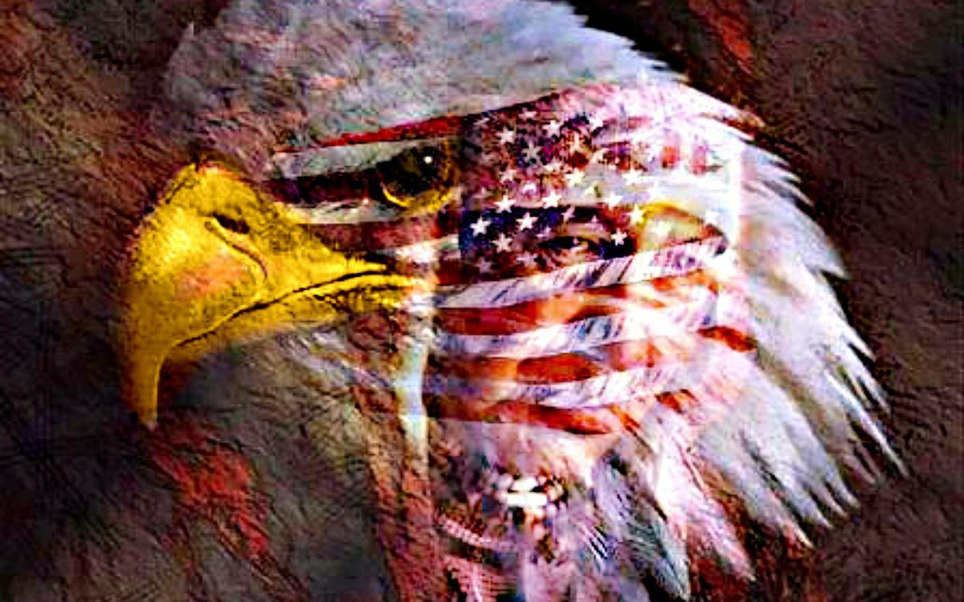 American Eagle Wallpaper HD Desktopinhq