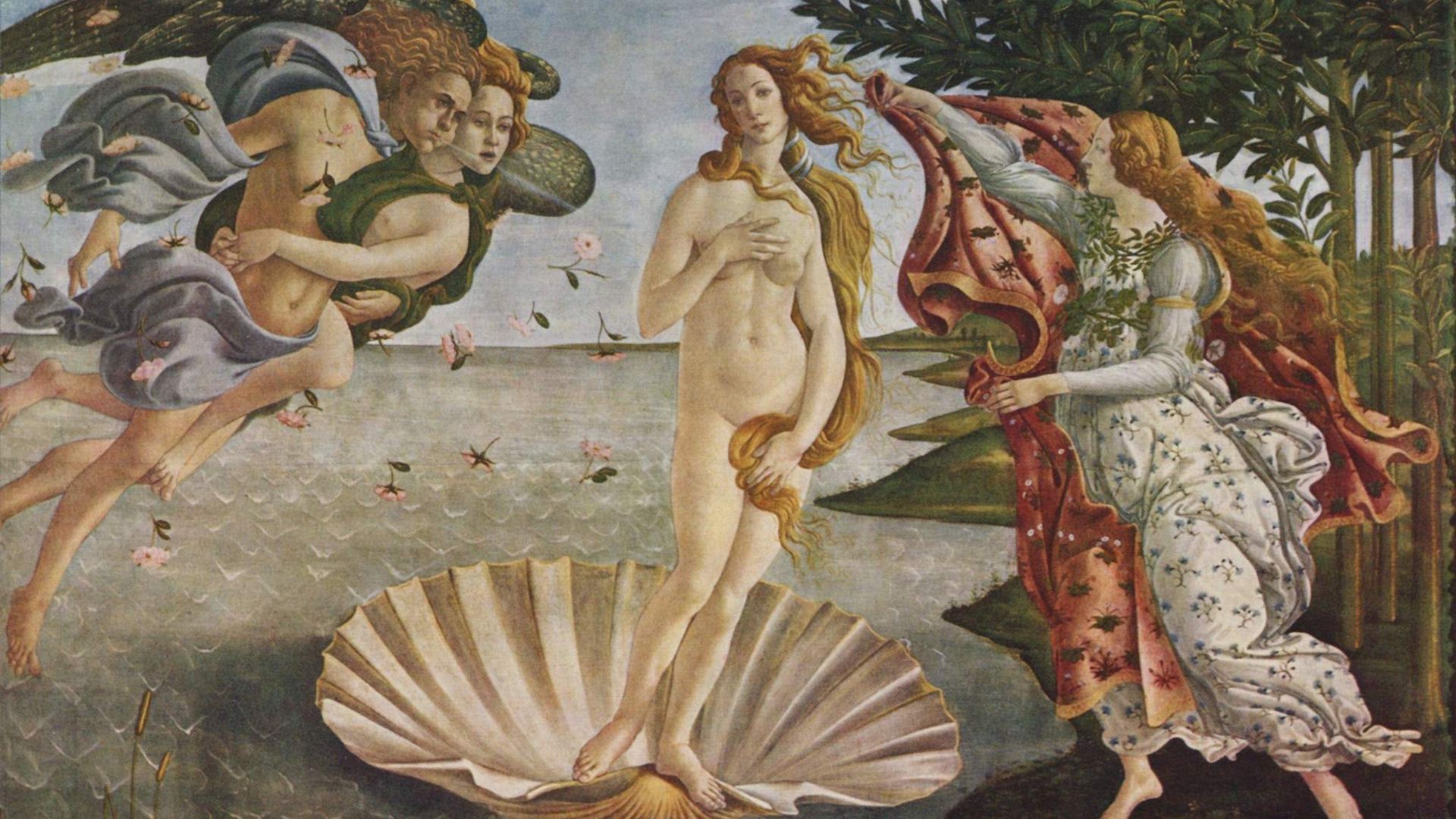 Drawing Painting The Birth Of Venus Botticelli Desktop
