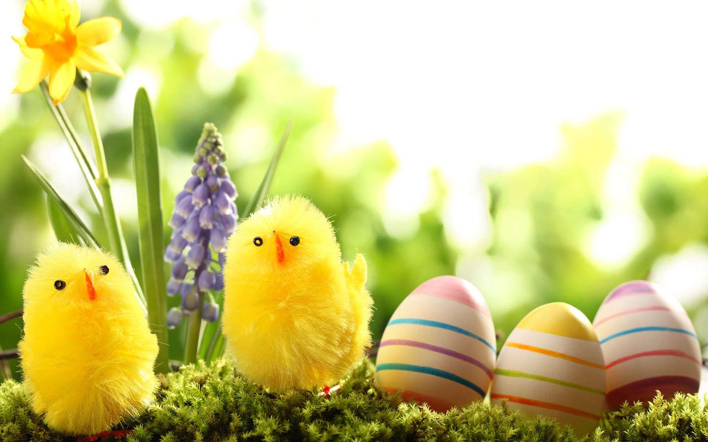 Easter Egg Wallpaper Android Apps On Google Play
