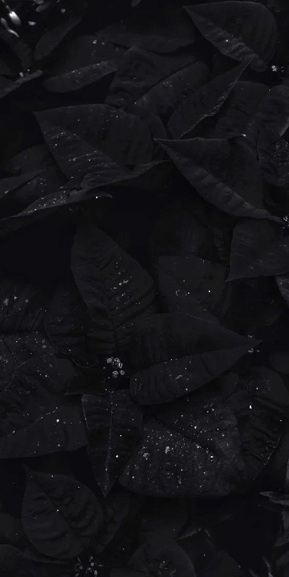 Aesthetic Dark Wallpaper For iPhone HD