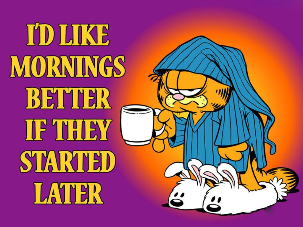 Garfield Mornings Slogan Wallpaper
