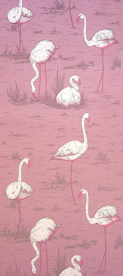 Flamingos Wallpaper Pink White Flamingoes On A Background