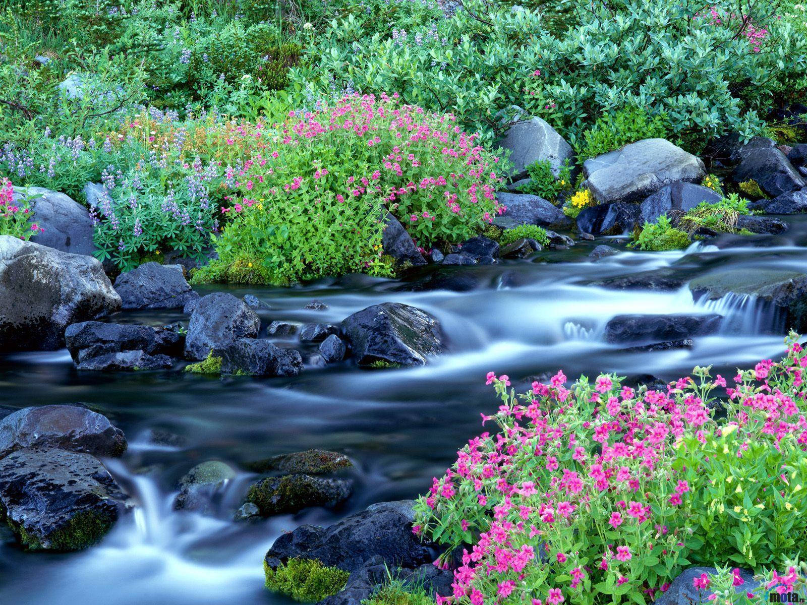 Most Beautiful Spring Wallpaper