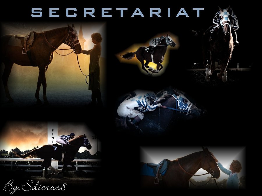 Secretariat Wallpaper