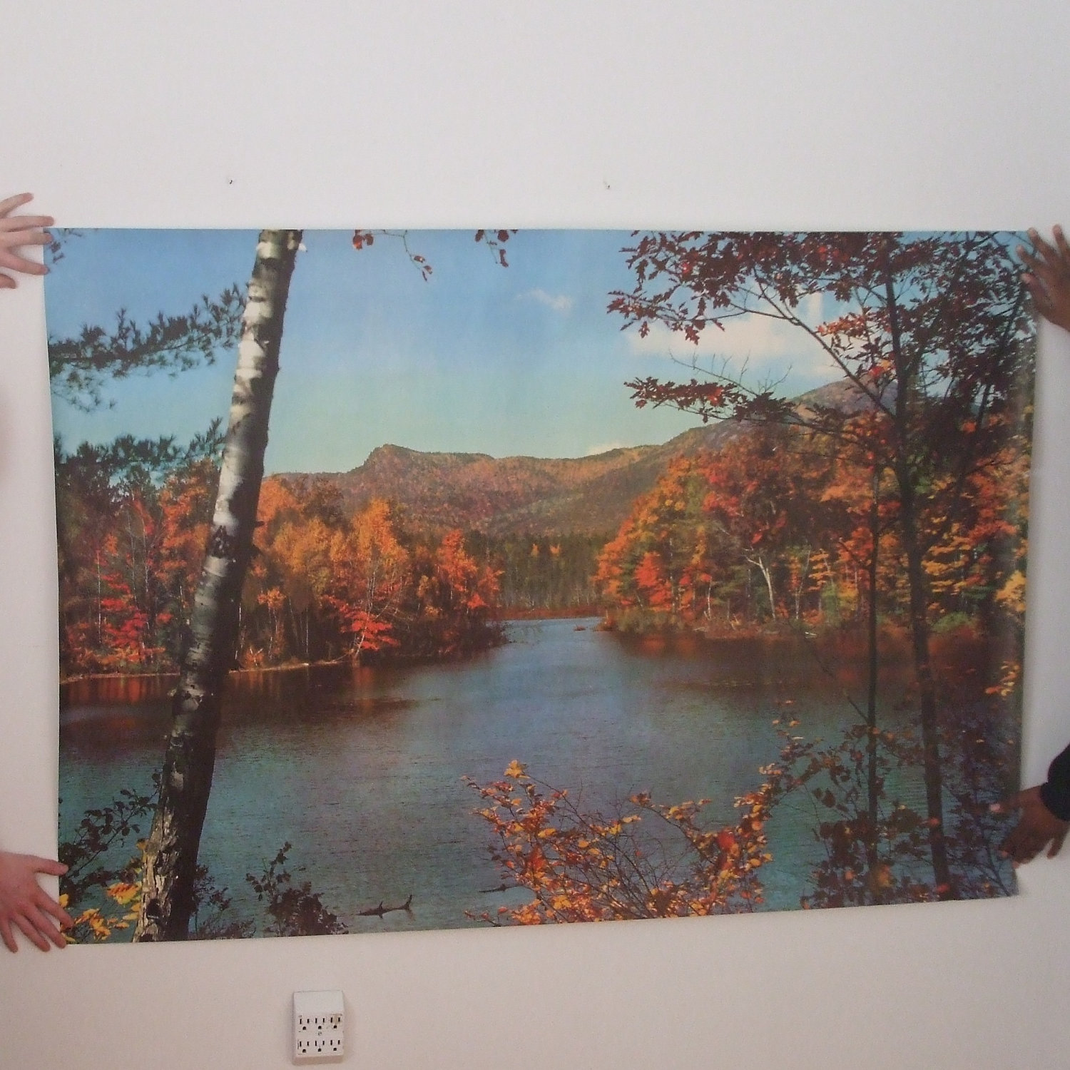 Vintage Wallpaper Mural Autumn Scene With Birch Trees And Lake X