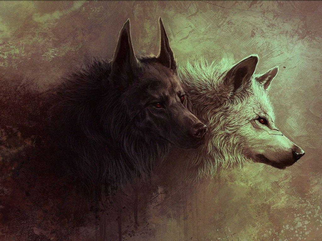 Black Wolf Wallpapers