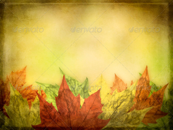 Autumn Vintage Background Stock Photo Photodune