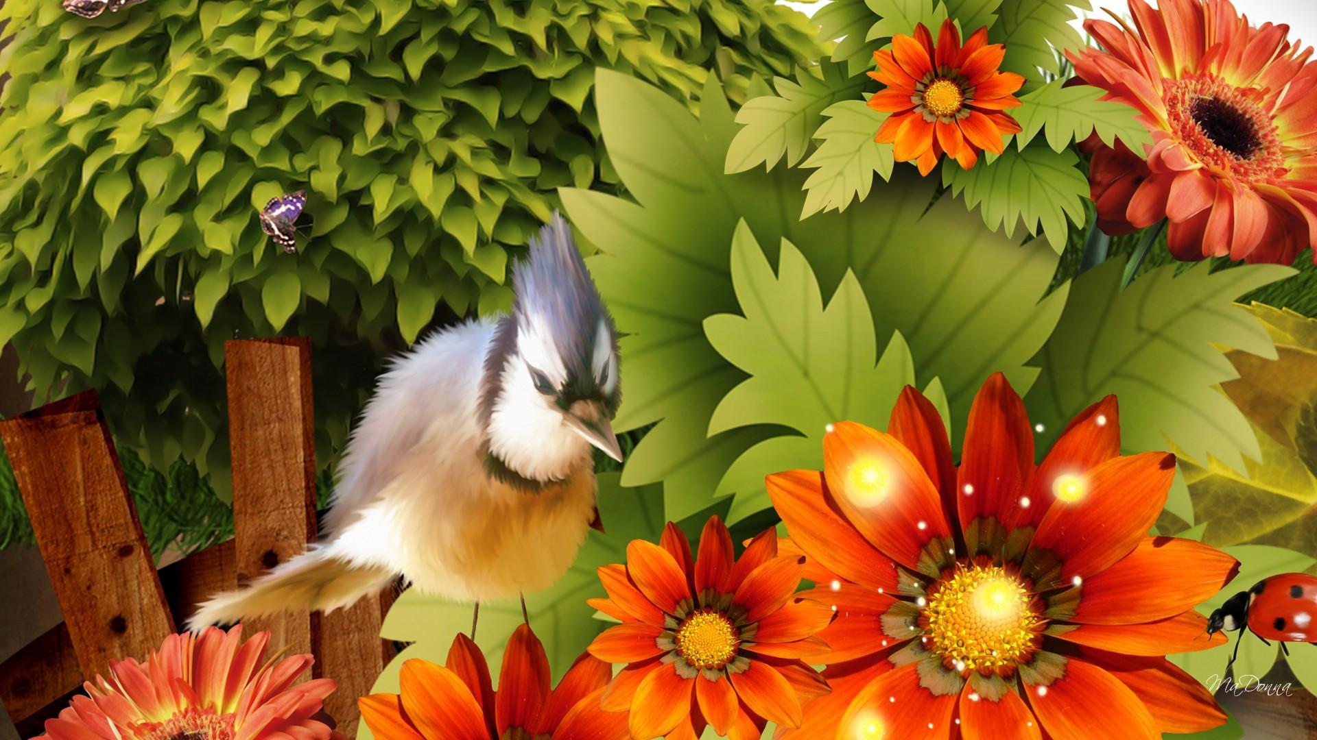 birds of paradise flower wallpaper