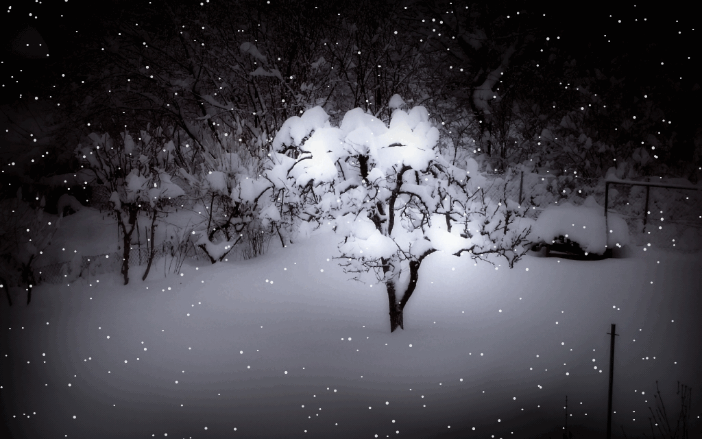 Winter Night Animated Scene By Purxle
