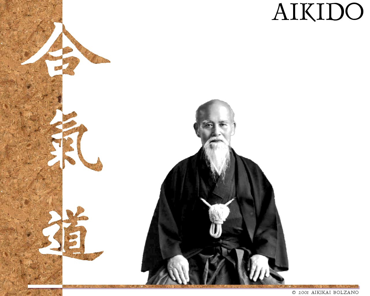 Funny Aikido Pictures Wallpaper