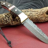 Rosendamast Jm Black Palmira Eagle Knives By Tom Lorch