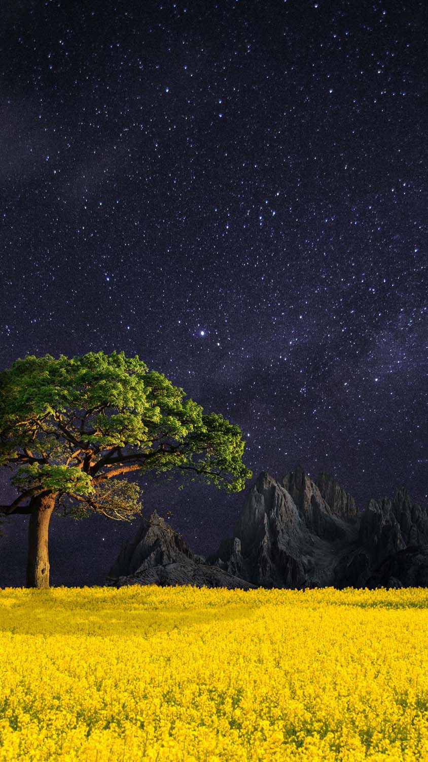 Landscape Wallpaper HD iPhone