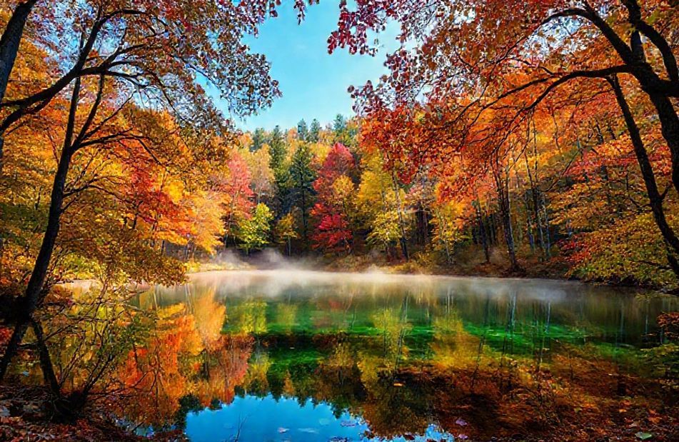 8k Ultra HD Nature Wallpaper