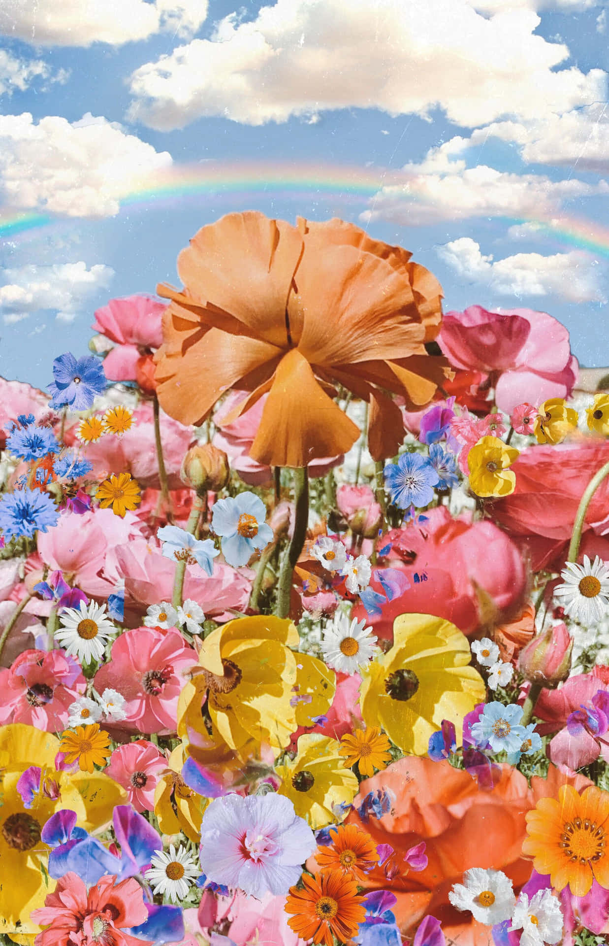 Flowers Aesthetic Wallpaper