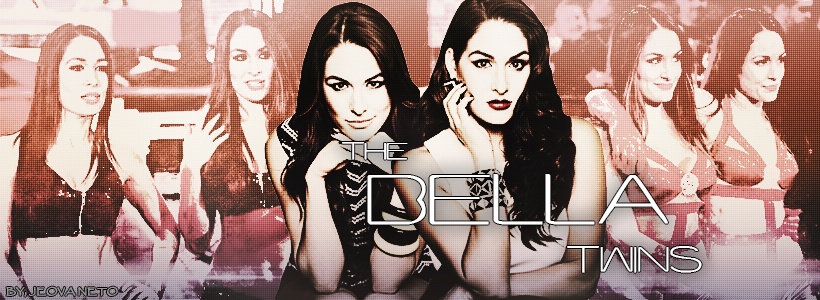 Bella Twins Wallpaper The By