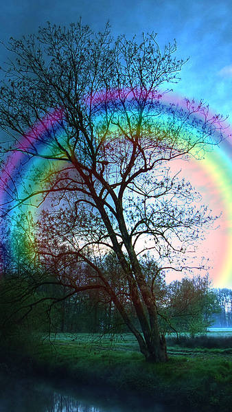 Rainbow Tree iPhone 6s Plus Wallpaper