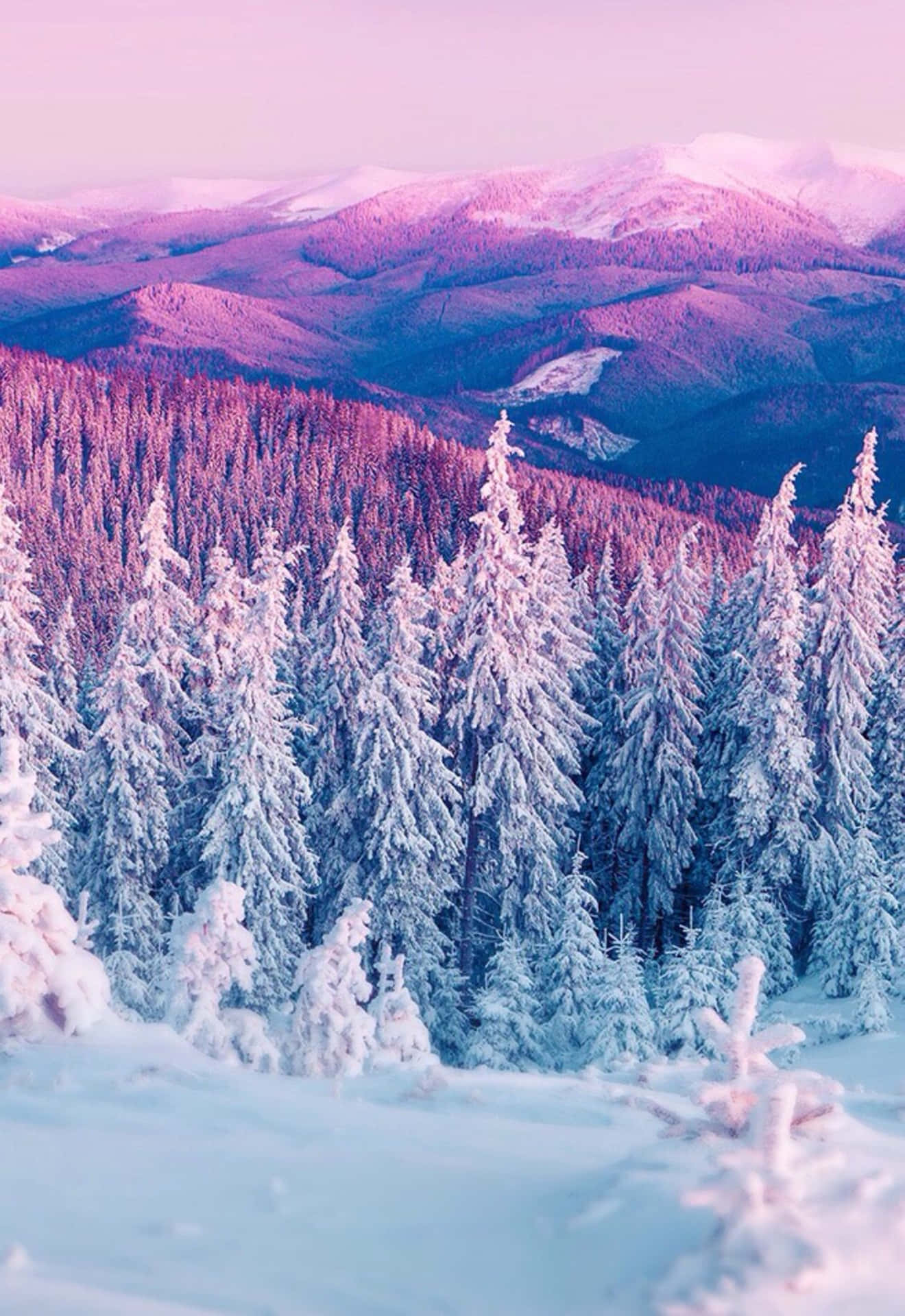Stunning 4K wallpaper of a snow-covered forest in the mountains during a breathtaking pink and purple sunset