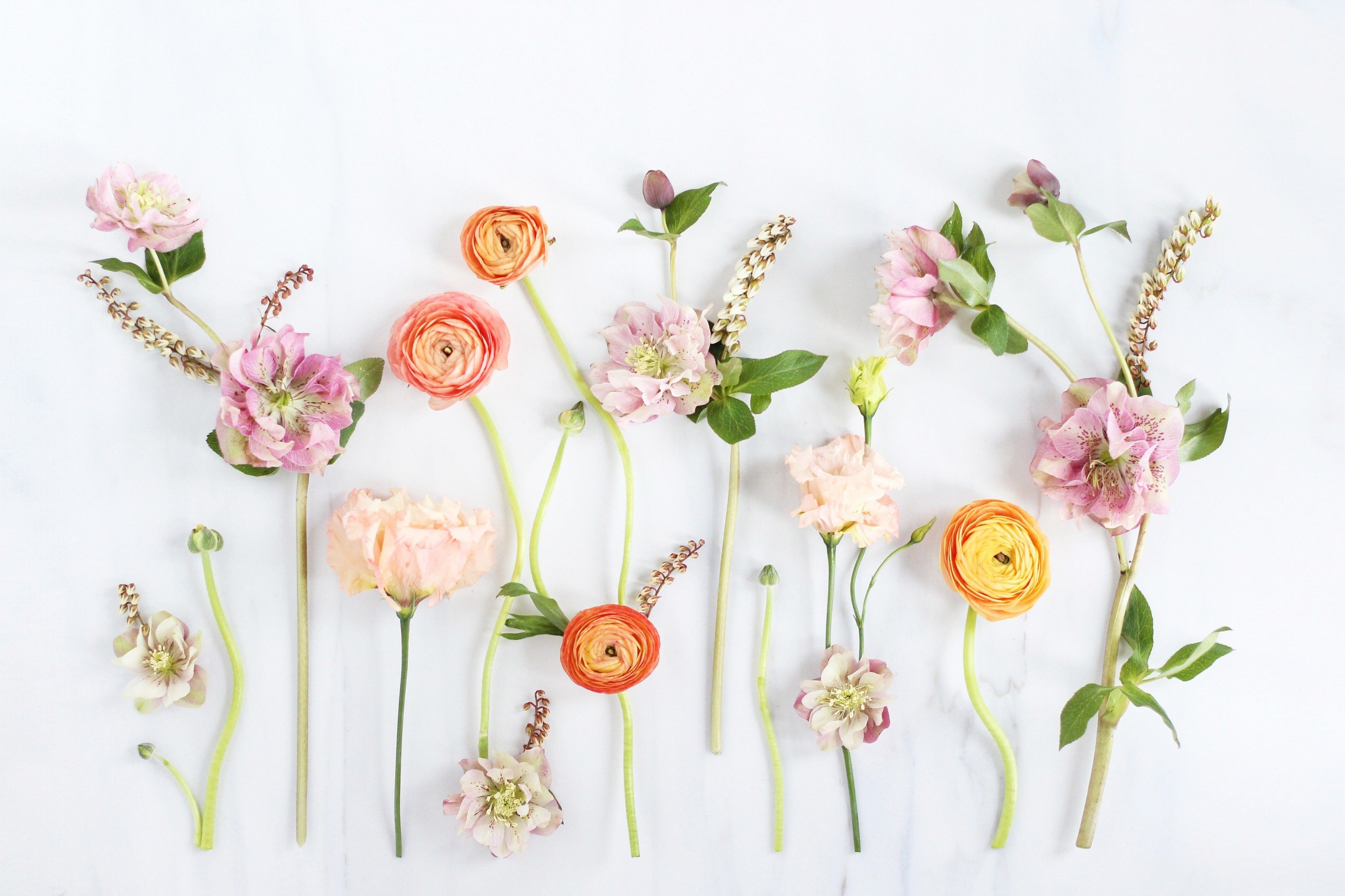 A flat lay arrangement of colorful spring flowers on a white marble background, perfect for a computer wallpaper