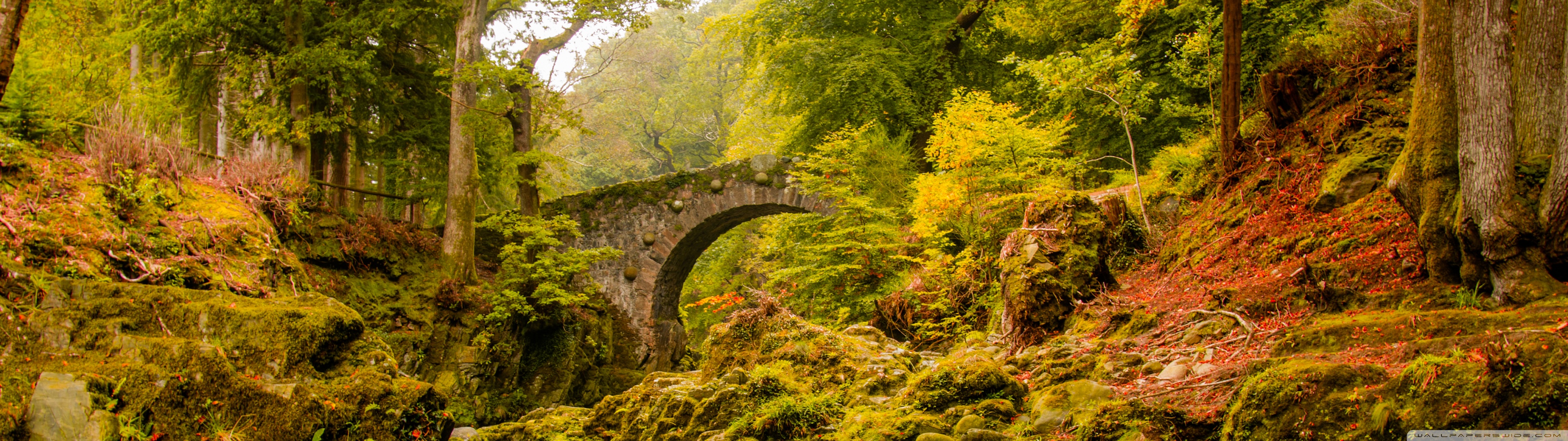 Foley S Bridge Autumn Ultra HD Desktop Background Wallpaper For