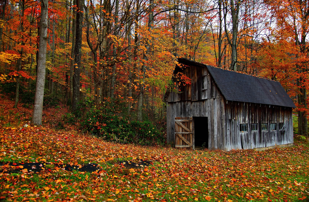 America The Beautiful In Autumn Peak Fall Foliage Dates For States