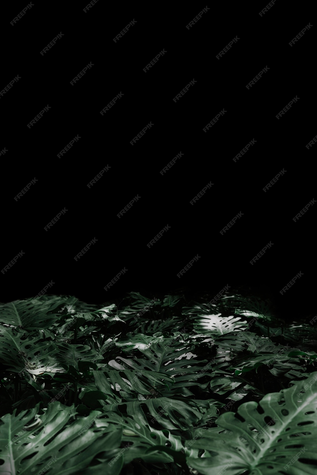 Dark Nature HD Wallpaper