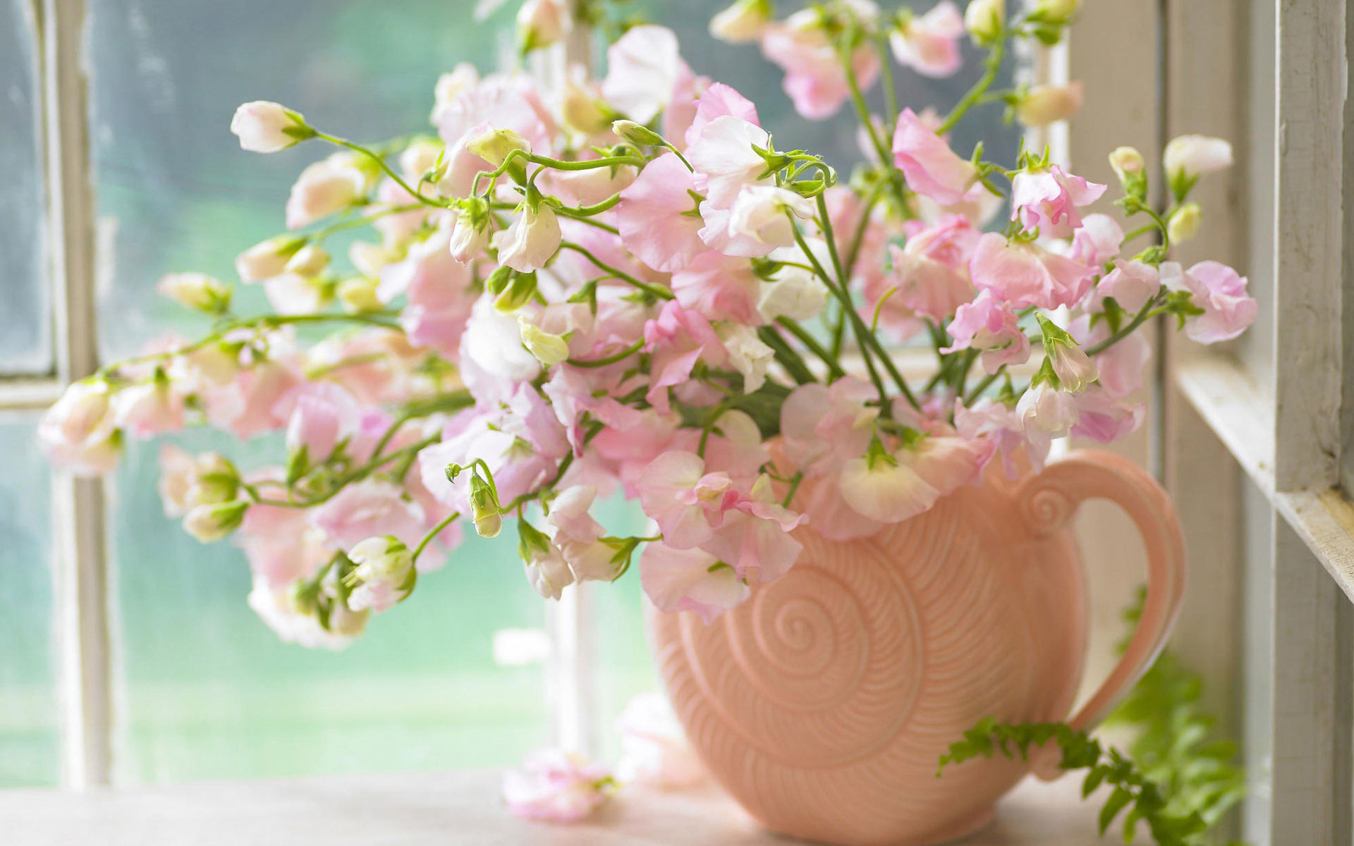 Pink Flowers In A Vase Widescreen Wallpaper