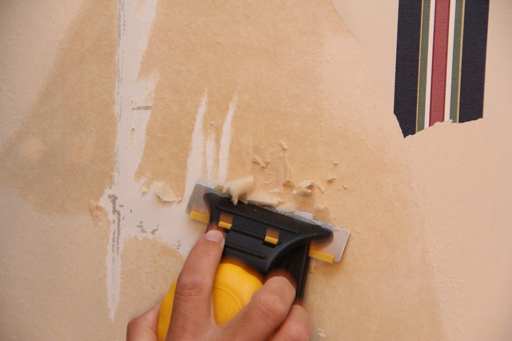 How to remove wallpaper like a Pro 1024x683