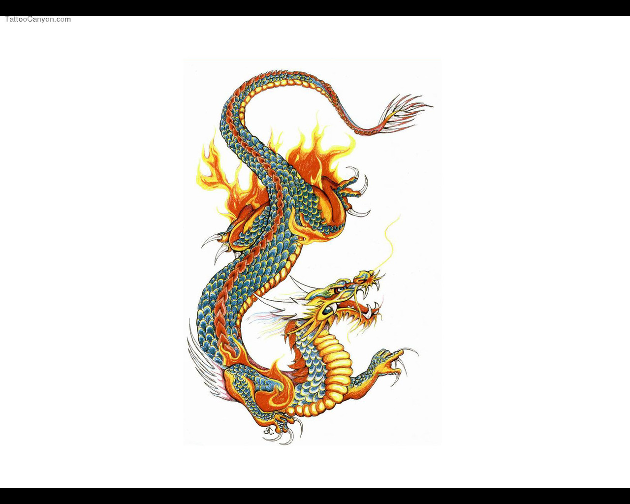 Designs Japanese Colored Dragon Tattoo Wallpaper