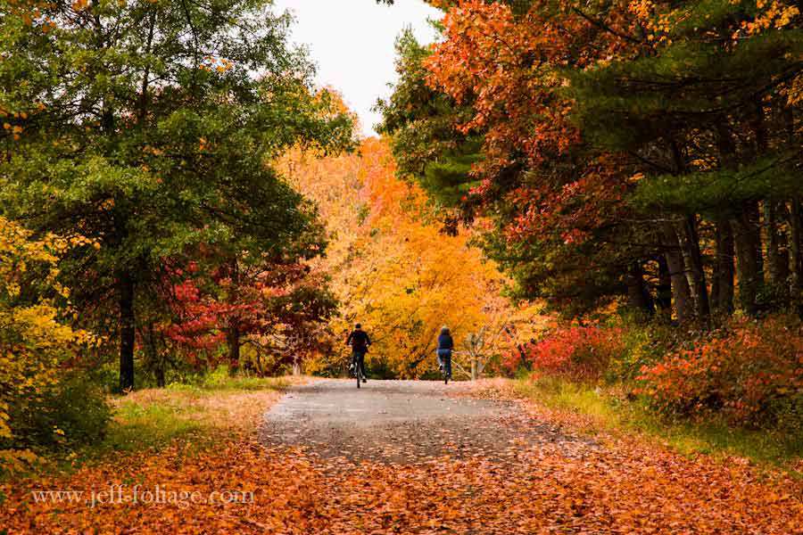 Finding fall foliage routes for New England   New England fall foliage