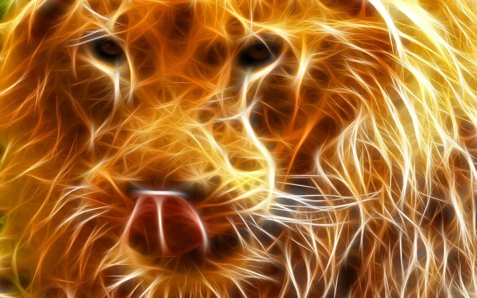 Maxwallon Lion Of Judah HD Wallpaper
