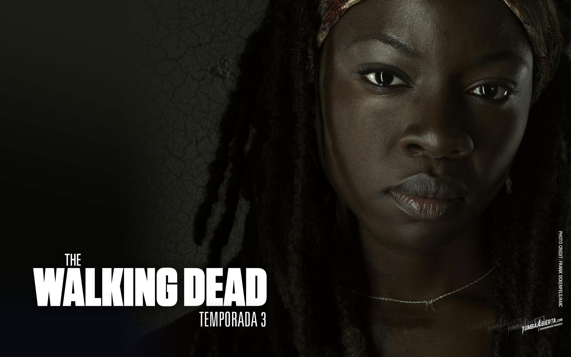 Walking Dead Spanish The Tv Shows Michonne