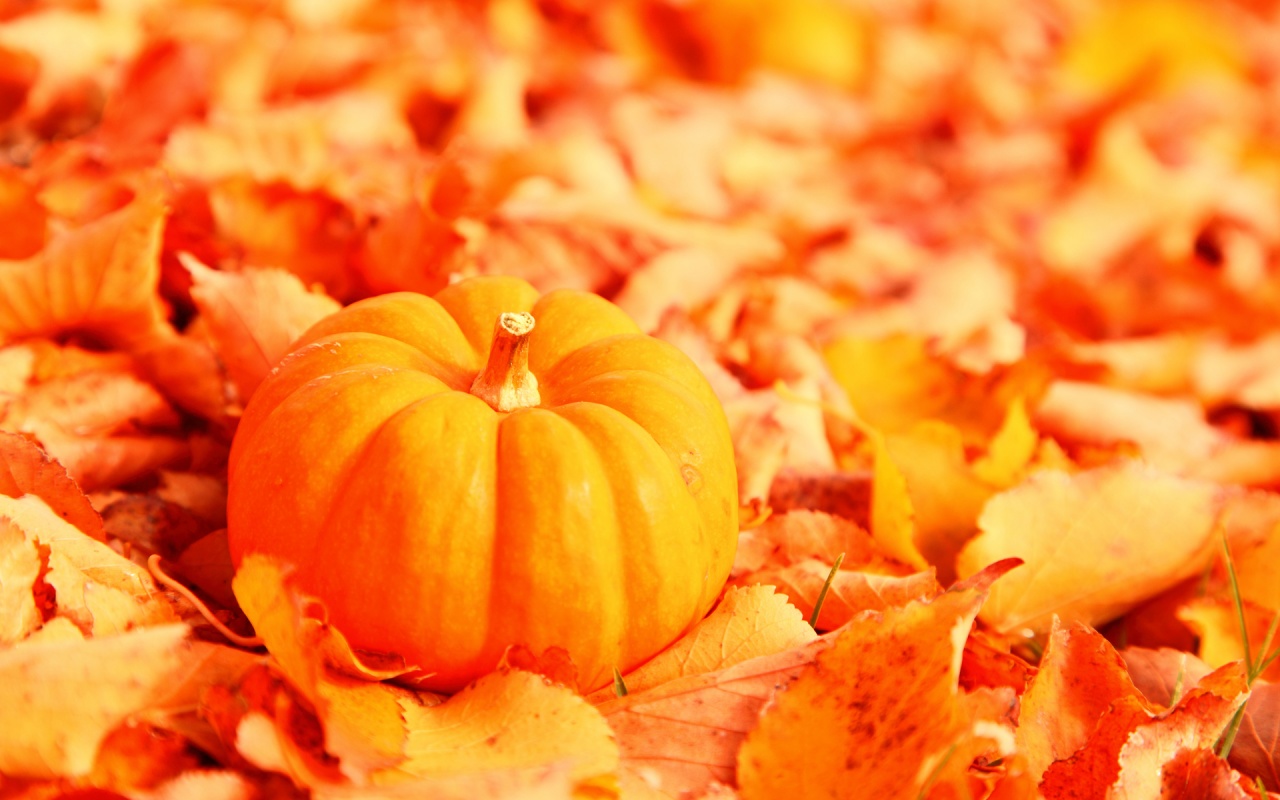 Little Pumpkin With Fallen Orange Autumn Leaves Wallpaper