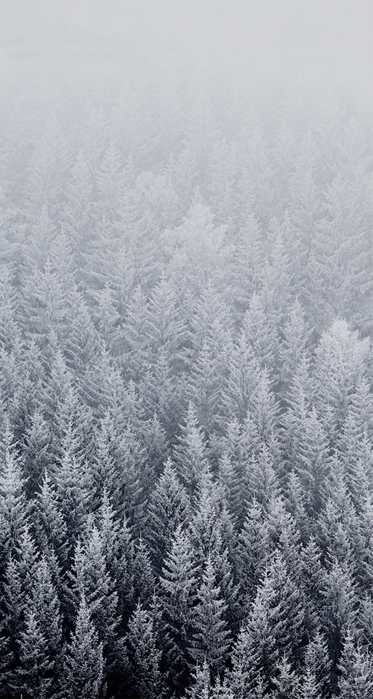 Ios Default Forest Snow Parallax iPhone Wallpaper