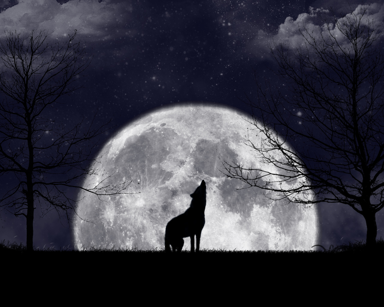 Wolf Howling At The Moon Wallpaper Howling at the moon by zanardo