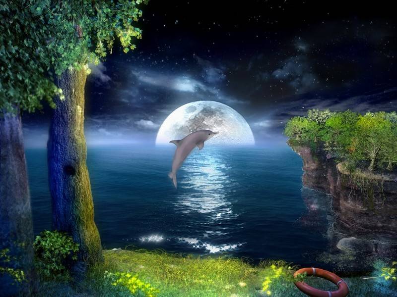 3D Jumping Dolphins Screensaver free download for Windows