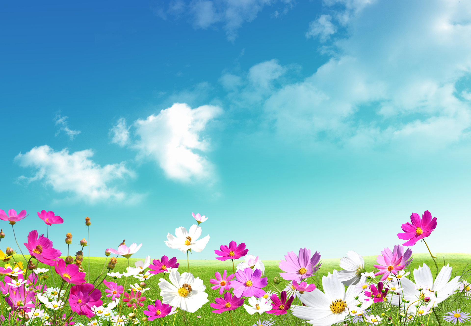 4x Spring Background For Puter Wallpaper