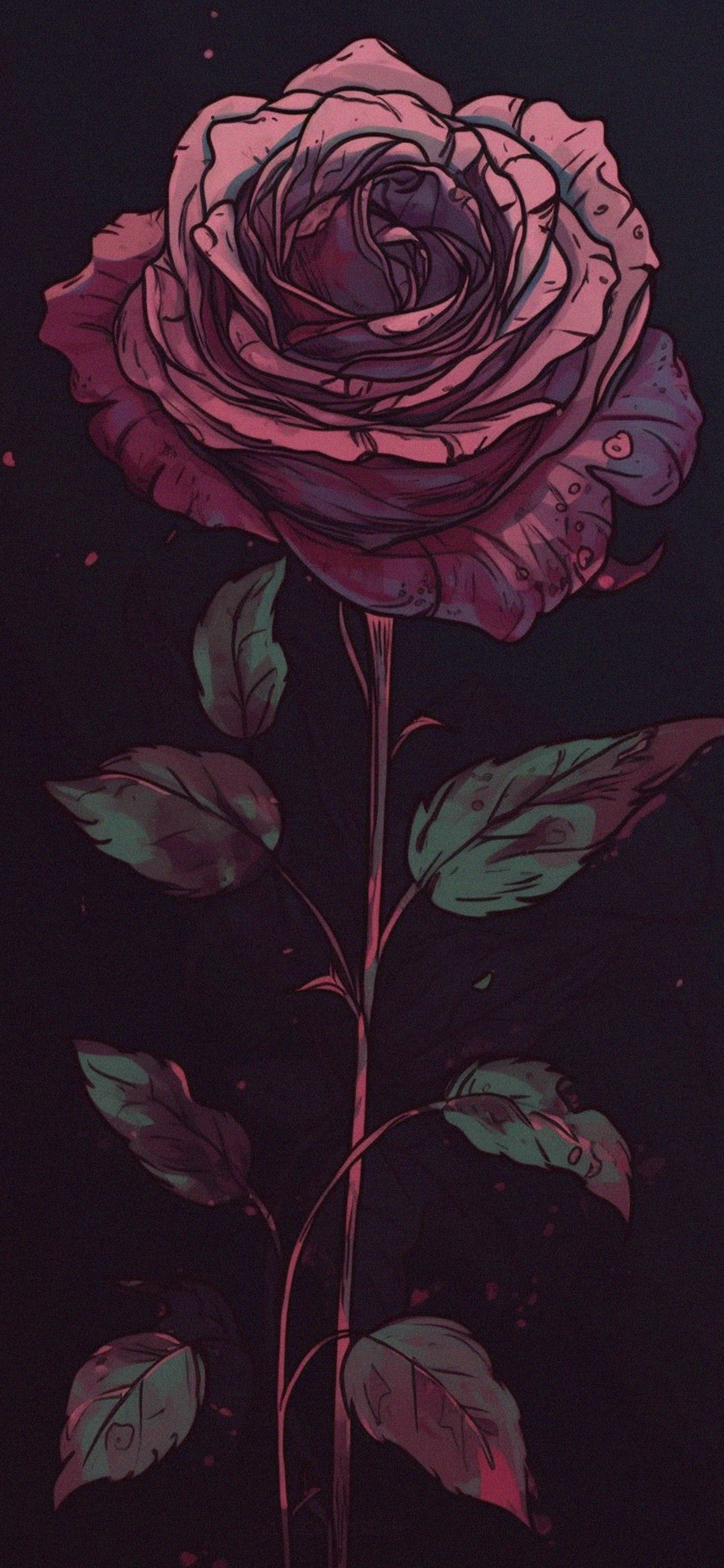 Beautiful Rose Dark Wallpaper For iPhone 4k