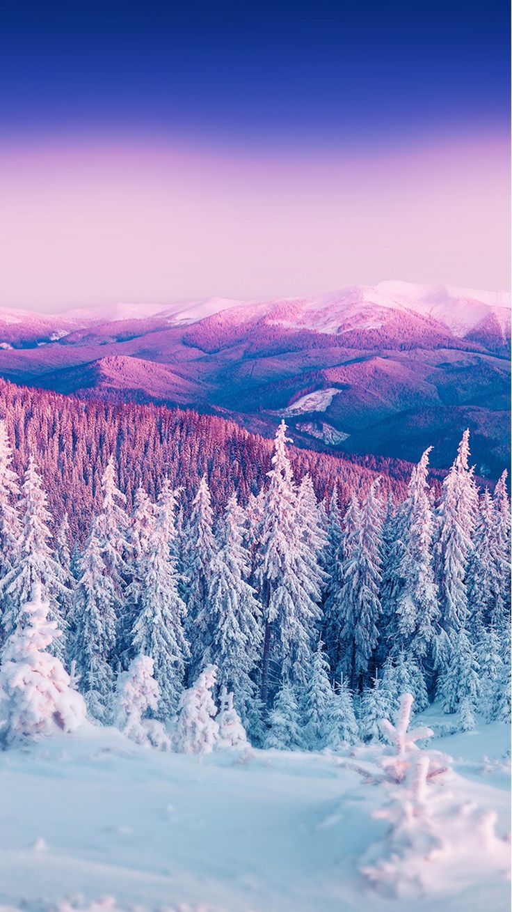 Best Winter Nature Photography Ideas Beautiful