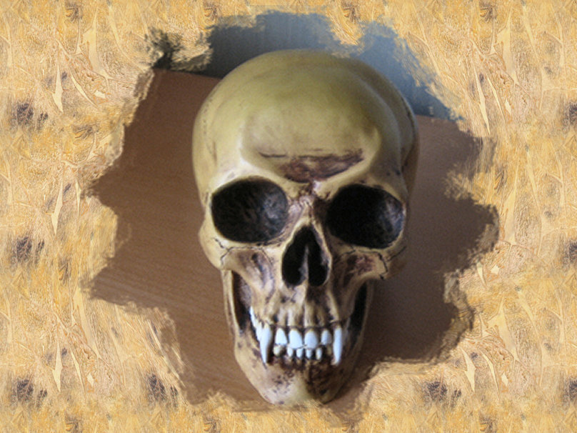 Vampire Skull Wallpaper