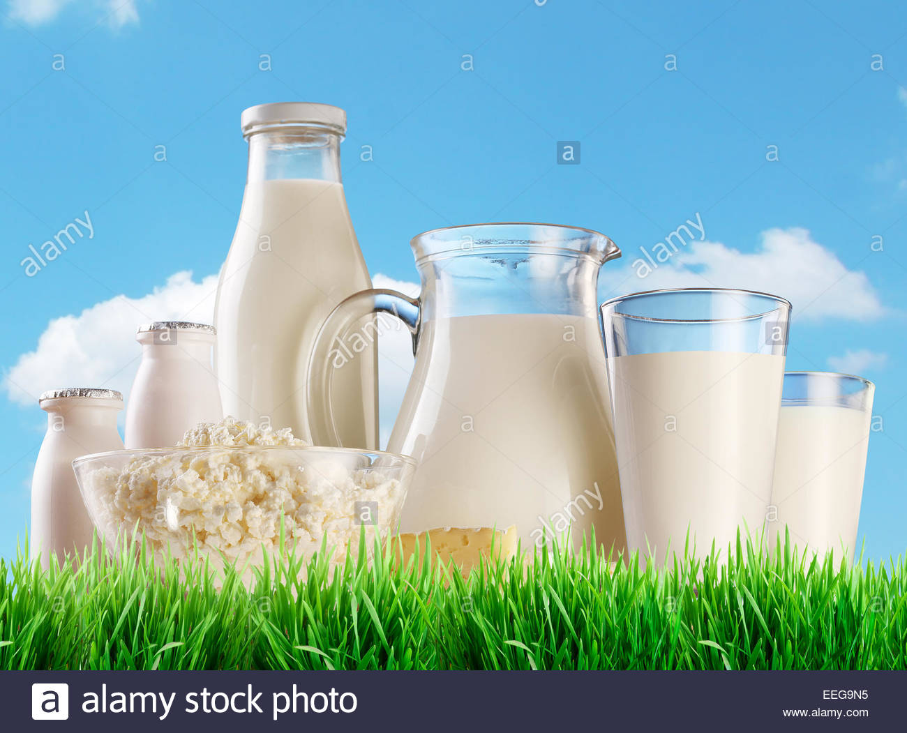 Free download Some Dairy Products Shot On Reflective White Background ...